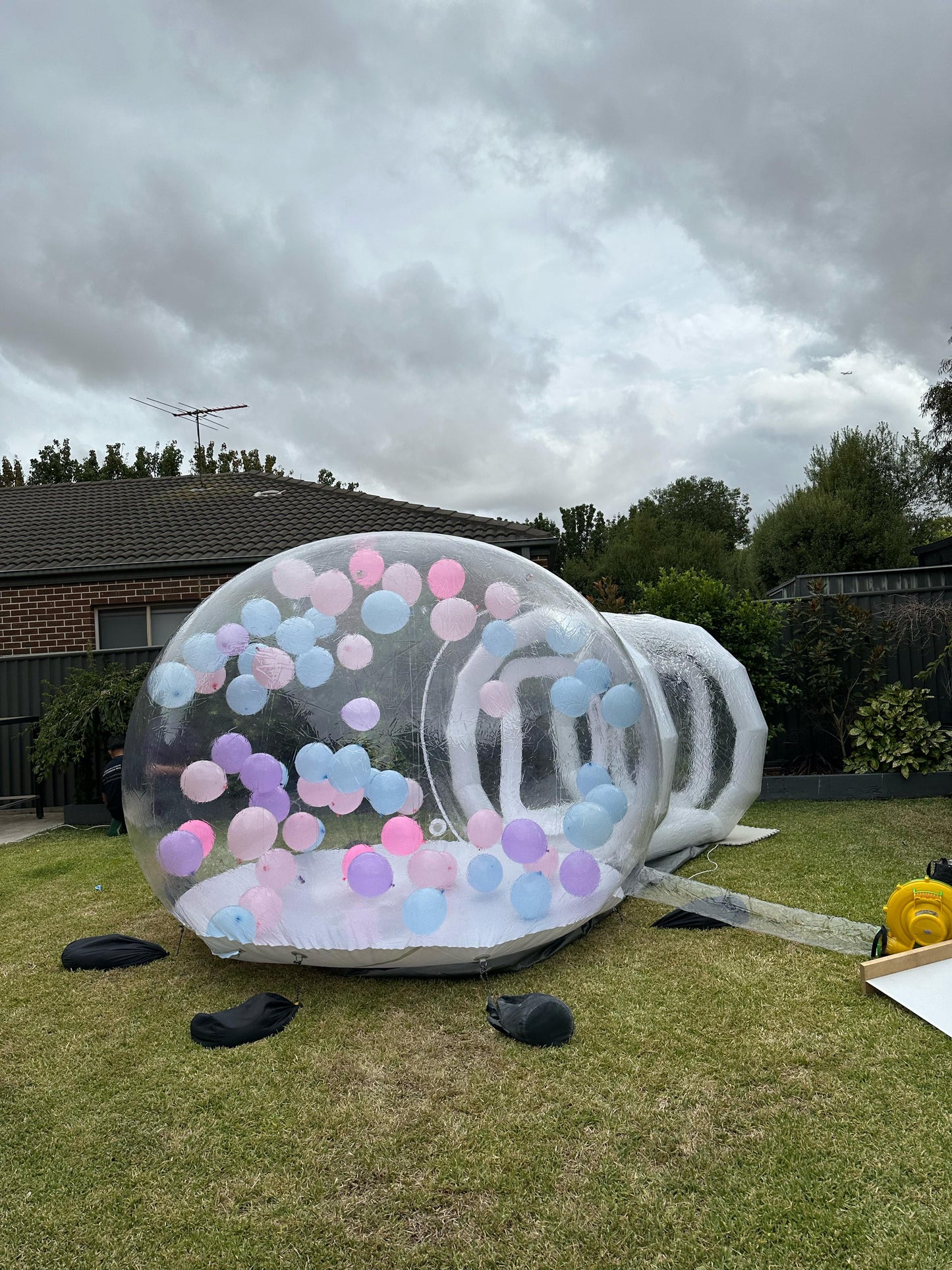 Bubble House